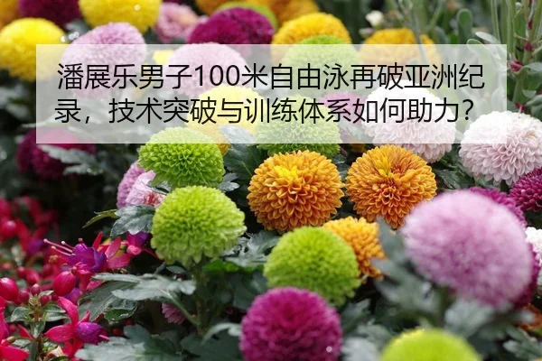 潘展乐男子100米自由泳再破亚洲纪录，技术突破与训练体系如何助力？